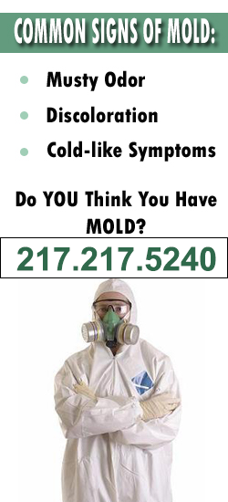 Urbana Mold Remediation Contractor
